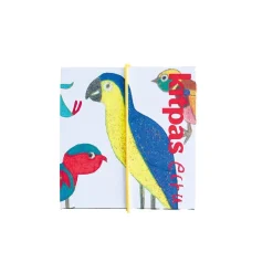 Kitpas (raam)krijt - Bird Primaire Kleuren, 6 Stuks
