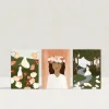 Leonoor Verplanken A5 Kaartenset, 3 Stuks