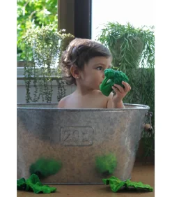Oli And Carol Brucy The Broccoli, Bijt - En Badspeeltje