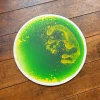 Sensorische Vloertegel Rond, Groen Met Geel