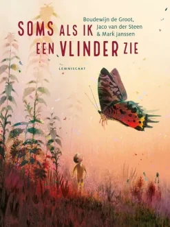 Soms Als Ik Een Vlinder Zie - Boudewijn De Groot