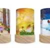 Toverlux Shades - Het Wolfeetje, Waldorf Set 5 Stuks