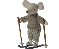 Winter Muis, Grote Broer Met Skiset